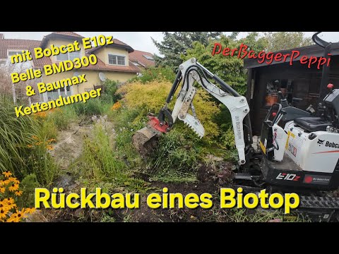 Dismantling a biotope/DerBaggerPeppi with Bobcat E10z, Belle BMD300, Baumax crawler dumper