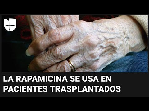 ¿Qué es la rapamicina, el medicamento que estudian para frenar el envejecimiento? Dr. Juan explica