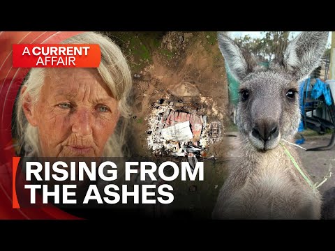 Rescue shelter rising from the ashes | A Current Affair