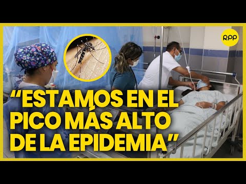 Oscar Ugarte afirma que este año será el mayor presencia de dengue en el Perú