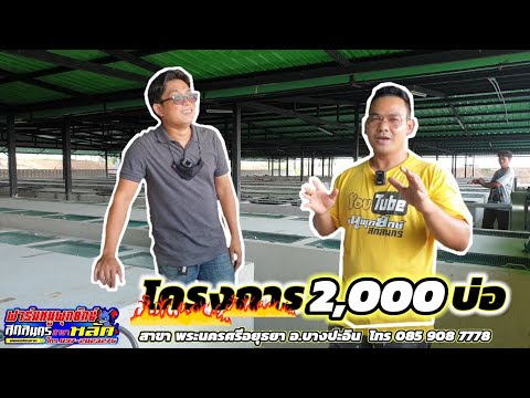 โครงการ-2,000-บ่อ-ฟาร์มหนูพุกย โครงการ-2,000-บ่อ-ฟาร์มหนูพุกย