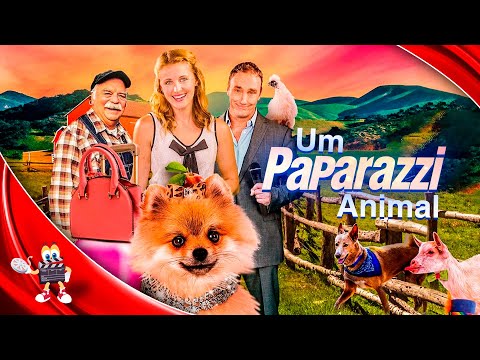 Um Paparazzi Animal - Filme Completo Dublado - Filme de Aventura | VideoFlix