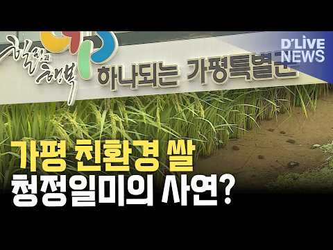 절반은 친환경 <strong>벼</strong>…가평쌀 가능성