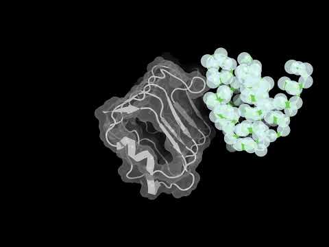 Accelerating Protein Structure Inference