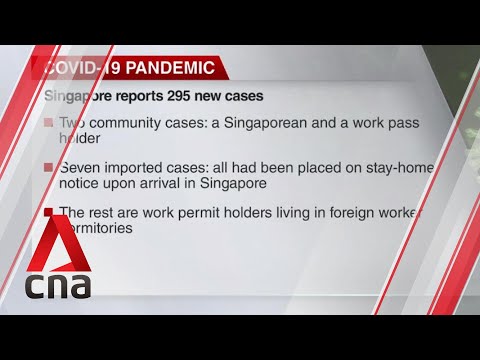 COVID-19 update, Aug 4: Singapore reports 295 new cases