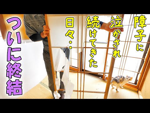猫の障子破り問題が完全解決したので猫飼い人生最後の貼り換え作業をしました😊【障子紙の張り替え方法 のり貼りタイプ】