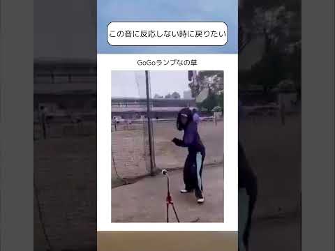 この音に反応しない時に戻りたい #shorts #パチンコ #スロット #ジャグラー