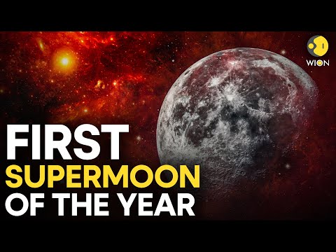 Supermoon LIVE | Sky Lit Up By Harvest Supermoon |  Harvest Moon LIVE | First Supermoon Of 2025