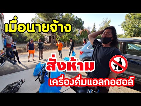แรงงานไทยในอิสราเอลถูกสั่งห้าม แรงงานไทยในอิสราเอลถูกสั่งห้าม