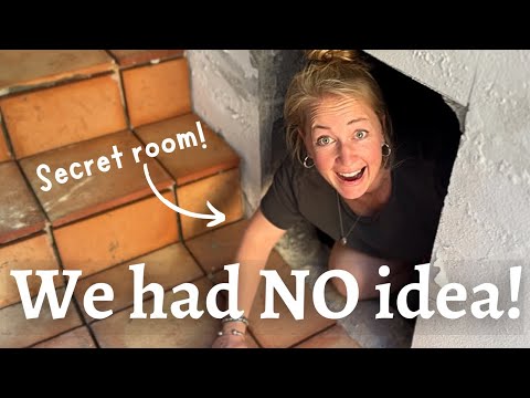 HUGE Discovery on our Stone House Renovation (and A NEW ARRIVAL)