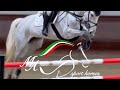 Show jumping horse Super amateur 120 mare BOMBPROOF with a lot of show experience