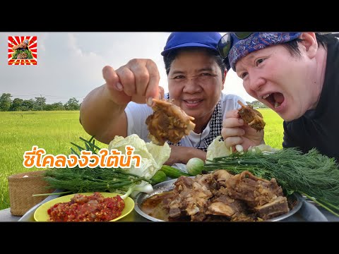 ซี่โคลงงัวใต้น้ำรสเข้มข้น..เด็ ซี่โคลงงัวใต้น้ำรสเข้มข้น..เด็