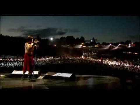 Throw Away Your Television Live at Slane Castle RHCP