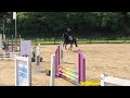 Show jumping horse Mooi stoer 4-jarig springpaard Impressive x Indoctro