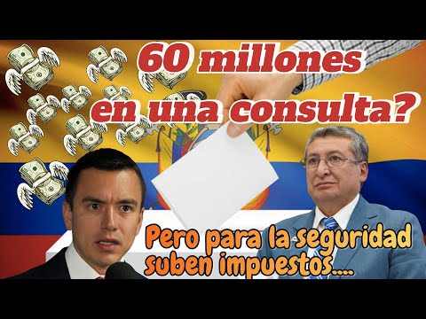 Presupuesto de $60 millones para Consulta Popular y Referéndum en Ecuador