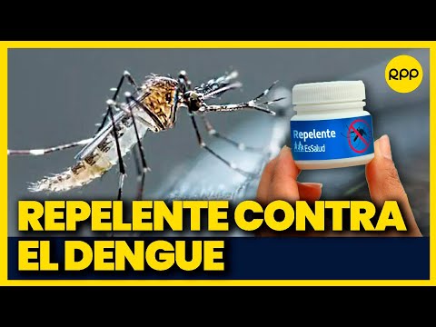 Dengue en Perú: Así puedes preparar repelentes naturales contra las picaduras