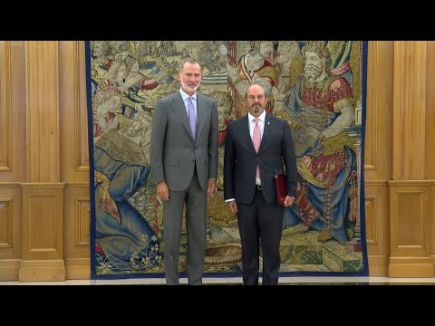El presidente del Senado se reúne con el Rey Felipe VI