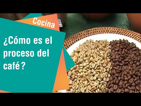 ¿Cómo es el proceso del café | COcina