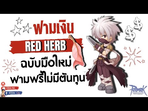 ฟามเงินRedHerbฉบับมือใหม่ฟ