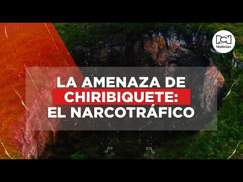 Chiribiquete amenazado: la destrucción de un lugar que debería ser un santuario