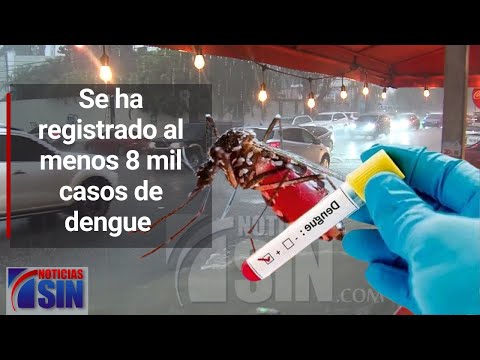 Se ha registrado al menos 8 mil casos de dengue en este año