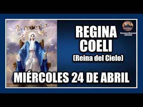REGINA COELI - DE HOY MIÉRCOLES 24 DE ABRIL DE 2024:  REINA DEL CIELO - PARA REZAR EN PASCUA.