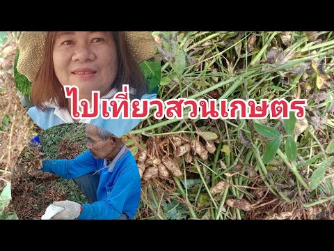 พาชมสวนเกษตรสร้างอาชีพเสริมของ