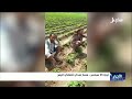 ثورة 26 سبتمبر مسار صحي لتعافي اليمن