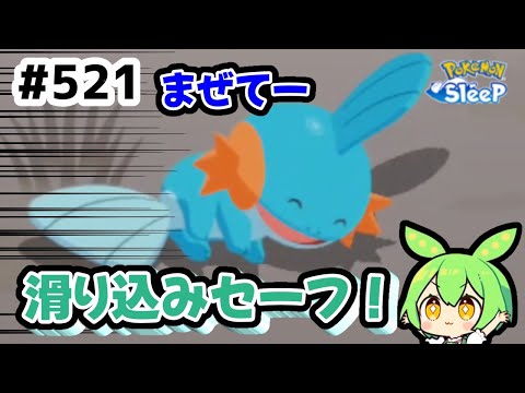 【睡眠リサーチ】＃521『おてブ開始前、ギリギリに来てくれたミズゴロウ』【ポケモンスリープ/pokemon sleep】【無課金ゴプラ勢】【ゆっくり実況ずんだもん】