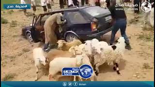 خايف على حلاله