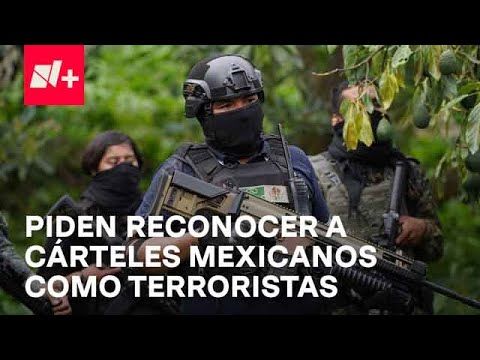 Piden declarar terroristas a cárteles mexicanos en EU - Despierta