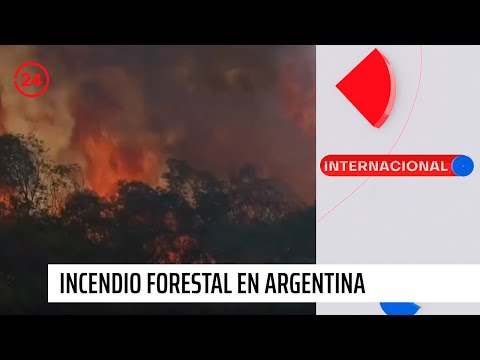Bomberos combaten gigantesco incendio al norte de Argentina | 24 Horas TVN Chile