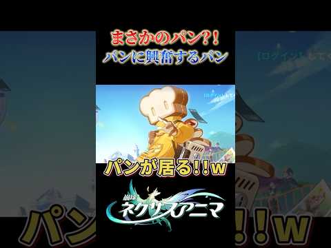 パンに興奮するパン【崩壊ネクサスアニマ】
