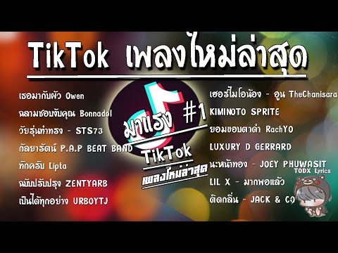 รวมเพลงฮิตในTikTokล่าสุดเพลงใ