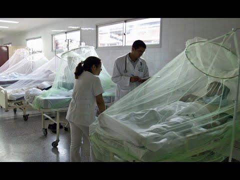 Dengue: Declaran emergencia sanitaria en 20 regiones del país por 90 días