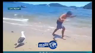 طائر يسخر من شاب