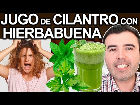 Jugo De Cilantro Con Hierba Buena - ¿Para Qué Sirve? - Beneficios Para Tu Salud Y Belleza