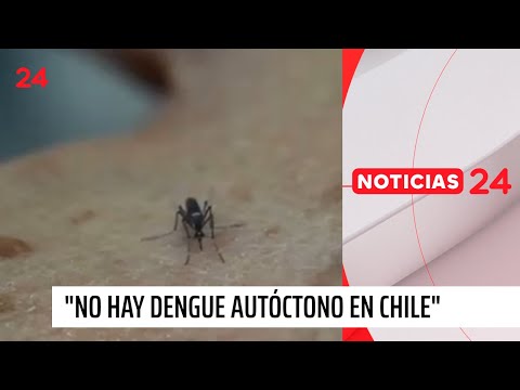 Infectólogo: “No hay dengue autóctono en Chile” | 24 Horas TVN Chile