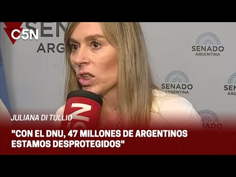 JULIANA DI TULLIO: Con el DNU, 47 MILLONES de ARGENTINOS estamos DESPROTEGIDOS