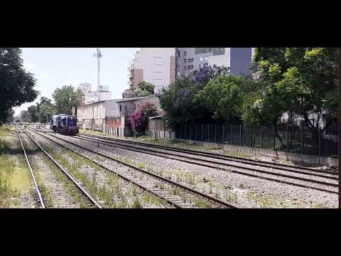 Traslado de Trenes Argentinos Operaciones (14): Locomotora General Motors 319