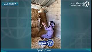 راعية الحلال رايقه