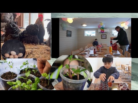 เก็บไข่ไก่สดๆเพาะกล้าผักจัดงาน