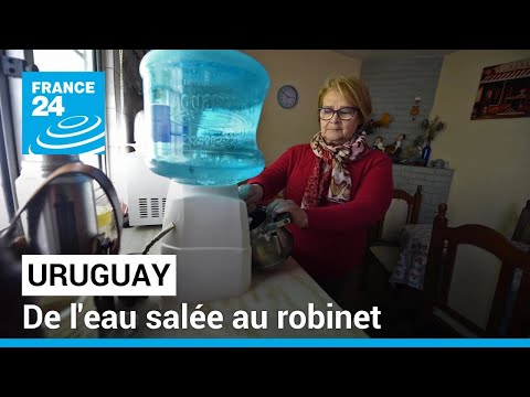 Uruguay : à cause de la sécheresse, de l'eau salée coule du robinet • FRANCE 24