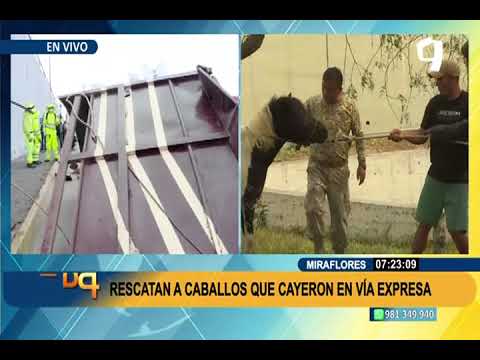 Caballos del Ejército quedan sueltos en Vía Expresa tras desprenderse carreta (2/2)