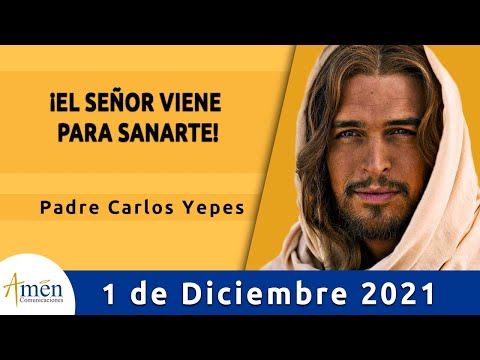 Evangelio De Hoy Miércoles 1 Diciembre 2021 l Padre Carlos Yepes l Biblia l Mateo 15,29-37