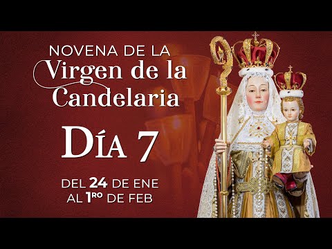 Novena a la Virgen de la Candelaria  Día 7   Padre Mauricio Galarza