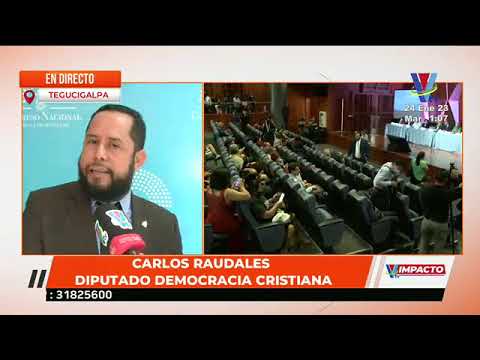 Diputado Carlos Raudales: En ningún momento se me ha condicionado en la elección de la CSJ