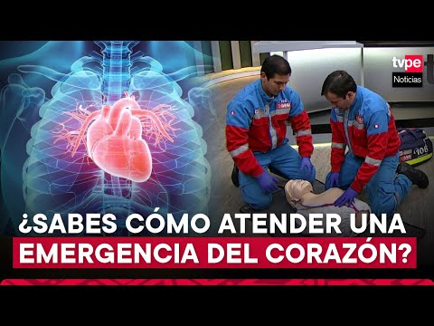 Día Mundial del Corazón: conozca cómo prevenir enfermedades cardiovasculares