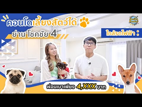 (EP52)คอนโดเลี้ยงสัตว์ได้โชค