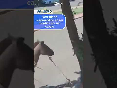 Novo medo desbloqueado: vereador é mordido por burro no meio da rua